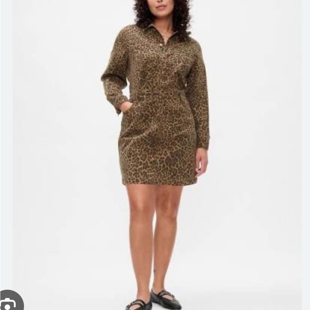 Leopard Print Dress
